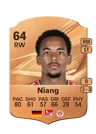 Niang - 64 - Rare
