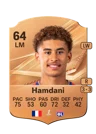 Hamdani - 64 - Rare