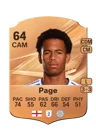 Page - 64 - Rare