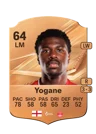 Yogane - 64 - Rare