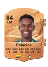 Palacios - 64 - Rare