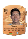 Vaca - 64 - Rare
