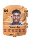 Fernandes - 64 - Rare
