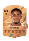 Bokangu - 63 - Rare