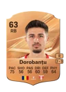 Dorobanțu - 63 - Rare