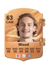 Wood - 63 - Rare