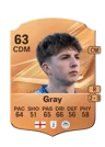Gray - 63 - Rare