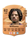 Williams - 62 - Rare