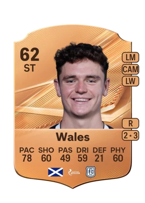 Wales - 62 - Rare EA FC 27 card