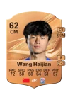 Wang Haijian - 62 - Rare