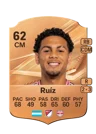 Ruíz - 62 - Rare