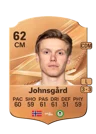 Johnsgård - 62 - Rare