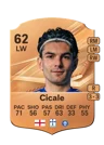 Cicale - 62 - Rare