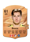 Breza - 61 - Rare
