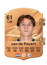 van de Pavert - 61 - Rare