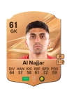 Al Najjar - 61 - Rare