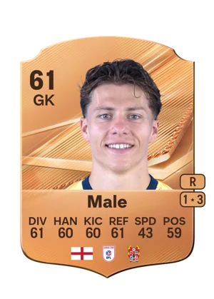 Male - 61 - Rare EA FC 27 card