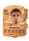 Knežević - 61 - Rare