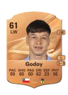Godoy - 61 - Rare