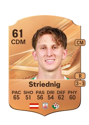 Striednig - 61 - Rare EA FC 27 card