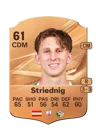Striednig - 61 - Rare