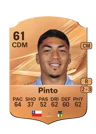 Pinto - 61 - Rare