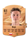 Bąk - 61 - Rare