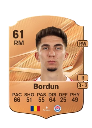 Bordun - 61 - Rare EA FC 27 card