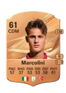 Marcolini - 61 - Rare