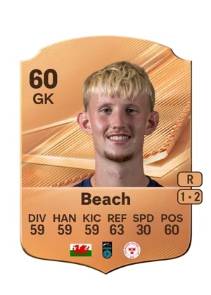 Beach - 60 - Rare EA FC 27 card