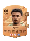 Taylor - 60 - Rare