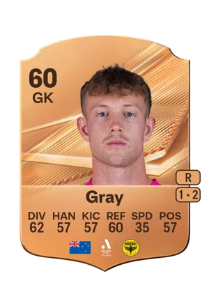 Gray - 60 - Rare EA FC 27 card