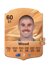 Wood - 60 - Rare