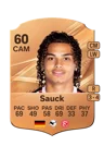 Sauck - 60 - Rare