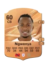 Ngwenya - 60 - Rare
