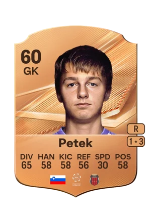Petek - 60 - Rare EA FC 27 card