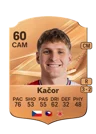 Kačor - 60 - Rare