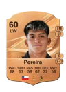 Pereira - 60 - Rare