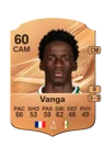 Vanga - 60 - Rare