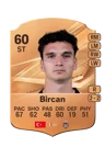 Bircan - 60 - Rare