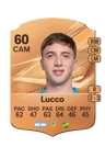 Lucco - 60 - Rare