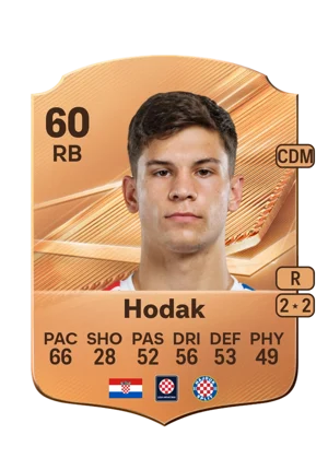 Hodak - 60 - Rare EA FC 27 card