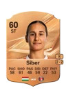 Siber - 60 - Rare