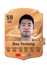 Bao Yaxiong - 59 - Rare