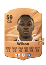 Wilson - 59 - Rare