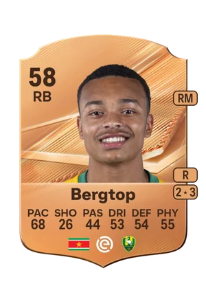 Bergtop - 58 - Rare EA FC 27 card