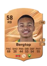Bergtop - 58 - Rare