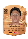 Hofmeister - 58 - Rare