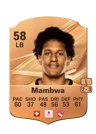Mambwa - 58 - Rare
