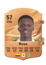 Rosa - 57 - Rare